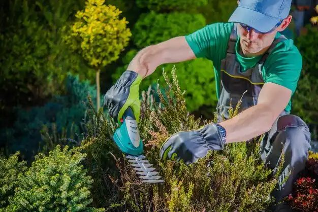 landscaping services St. Helen